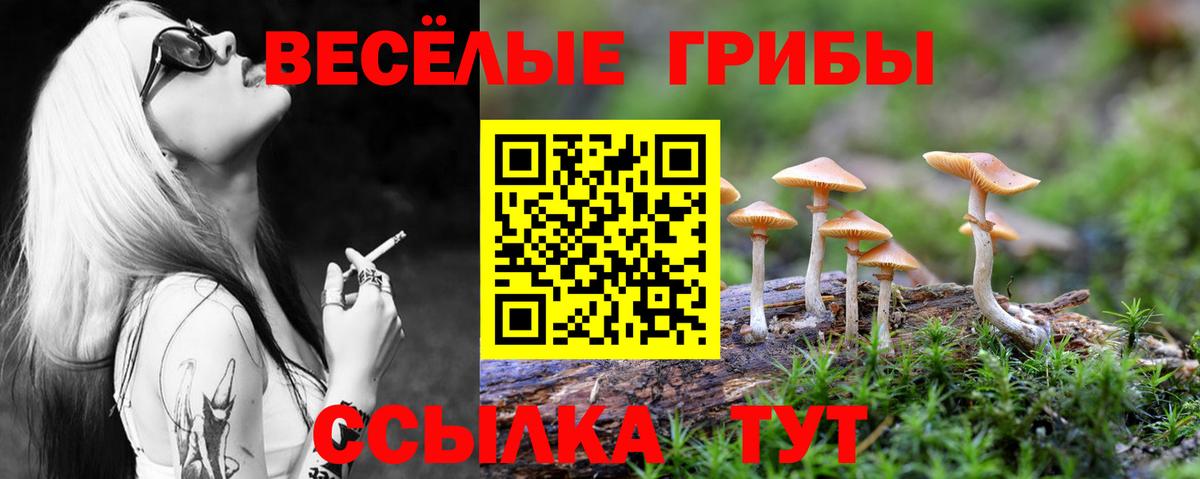 Галлюциногенные грибы Cubensis  где продают   Ирбит  Вход с VPN 